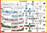 1/72 SIAI SF-260D "Over USA"
