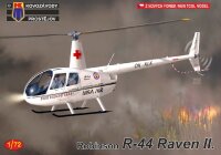 Robinson R-44 Raven II Civil""