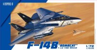 Grumman F-14B Bombcat""