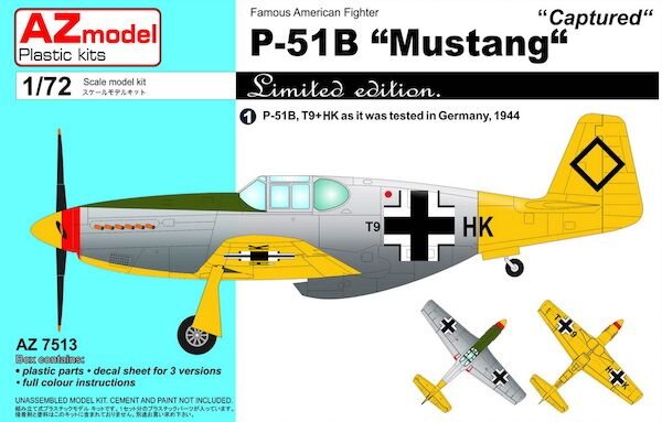 P-51B Mustang "Captured Planes"