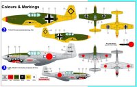 P-51B Mustang "Captured Planes"