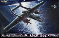 Northrop P-61B "Black Widow" Last Shoot Down 1945
