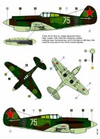 Curtiss P-40C Tomahawk and Bell P-39N Airacobra