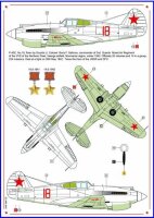 Americans in Stalins Sky, Part V - P-40C / P-39N