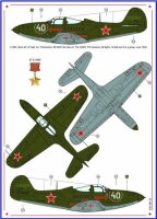 Americans in Stalins Sky, Part V - P-40C / P-39N