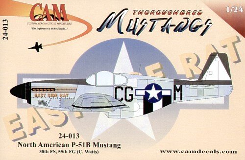 P-51B Mustang