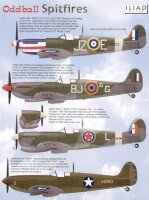 Oddball Supermarine Spitfire (4)