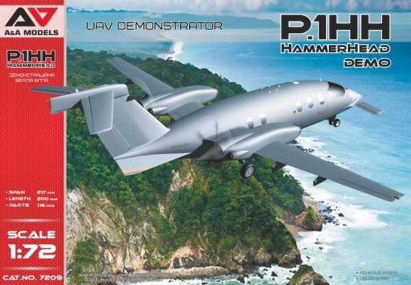 P.1HH Hammerhead UAV Demonstrator