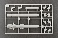 Russian SSC-6 / 3K60 BAL-E Defence System