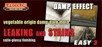 Easy3 - Leaking and Stains - Damp Effect