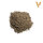 Natural Umber 30ml