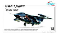 Grumman XF-10F-1 Jaguar "Swing Wing"