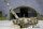 Bergepanzer 3 A1 Büffel