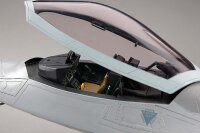1/48 F-22 Raptor
