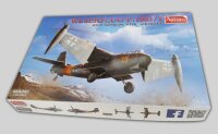 1/48 Weserflug P.1003/1