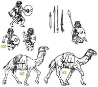 Hadendowa Camelry