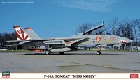 F-14A Tomcat Miss Molly""