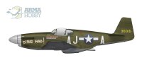 North-American P-51B/C Mustang "Expert Set"