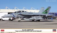 Grumman EA-18G Growler VAQ-135 Black Ravens