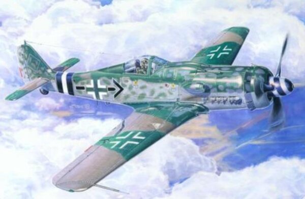 Focke Wulf Fw-190D-9 "Michaelski"