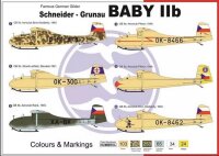 Schneider / Grunau Baby IIb