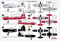 DHC-1 Chipmunk "RAF & BAF"