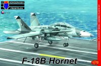 F-18B Hornet Low-vis""