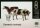 1/35 Domestic Animals (Haustiere)