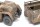 1/35 M561 Gama Goat