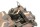 1/35 M561 Gama Goat