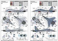 Sukhoi Su-30MK Flanker G