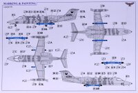 Gates Learjet 35 "Phoenix Air"