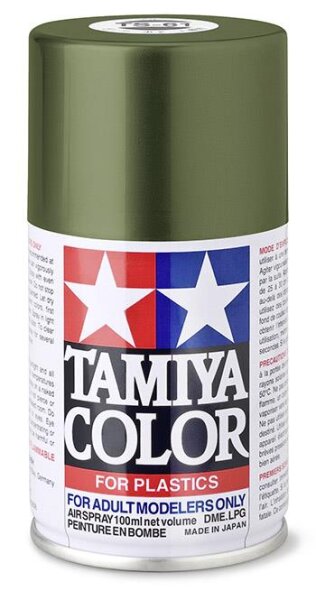 TS-61 NATO Grün matt - Bronzegrün - 100ml Spray