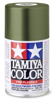 NATO Grün matt (Bronzegrün RAL6031) - Spray
