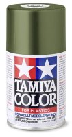 TS-61 NATO Grün matt - Bronzegrün - 100ml Spray