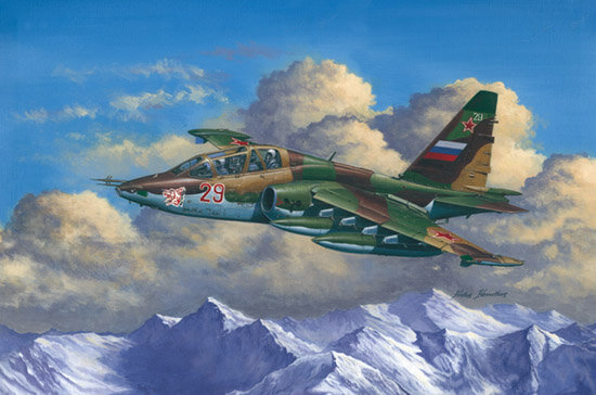 Sukhoi Su-25UB Frogfoot B