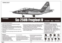 1/32 Sukhoi Su-25UB Frogfoot B
