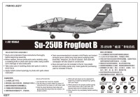 Sukhoi Su-25UB Frogfoot B