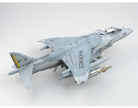 McDonnell-Douglas AV-8B Harrier II Night Attack