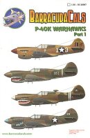 Curtiss P-40K Warhawks Part 1 (4)