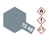 TS-48 Gunship Grey matt 100ml Spray