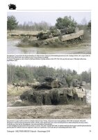 Panzertruppe 2010