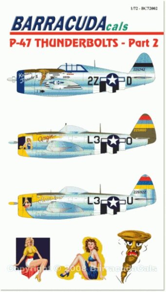 Republic P-47D Thunderbolt - Part 2
