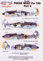 Focke Wulf Fw 190 Part 2 (4)