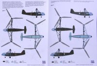 Focke-Achgelis Fa-223 Drache "Captured"