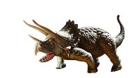 1/13 Triceratops