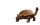 Ankylosaurus