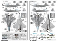 1/48 Lockheed-Martin F-22A Raptor