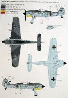 Focke Wulf Fw-190A-6 Ace Hajo Herrmann""