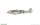 Focke-Wulf Fw-190A-8 (Weekend Edition)